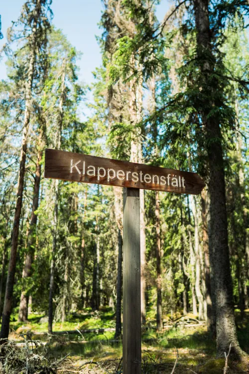 Rönnåsen