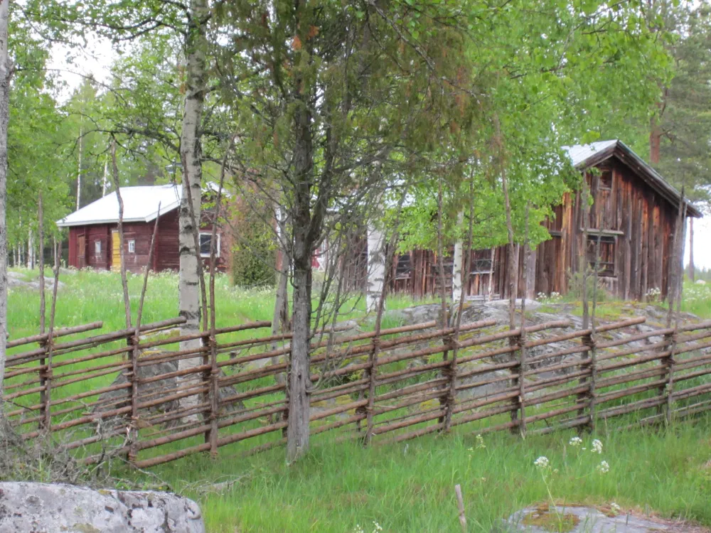 Fäbodstugor bakom gärdesgård.