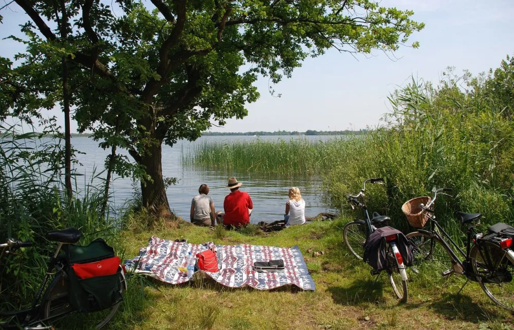 Picnic 