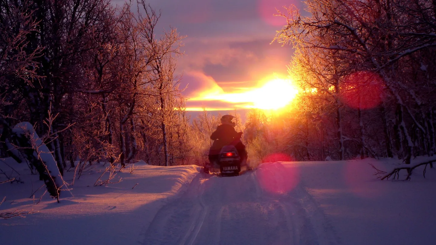 Skoter i solnedgång