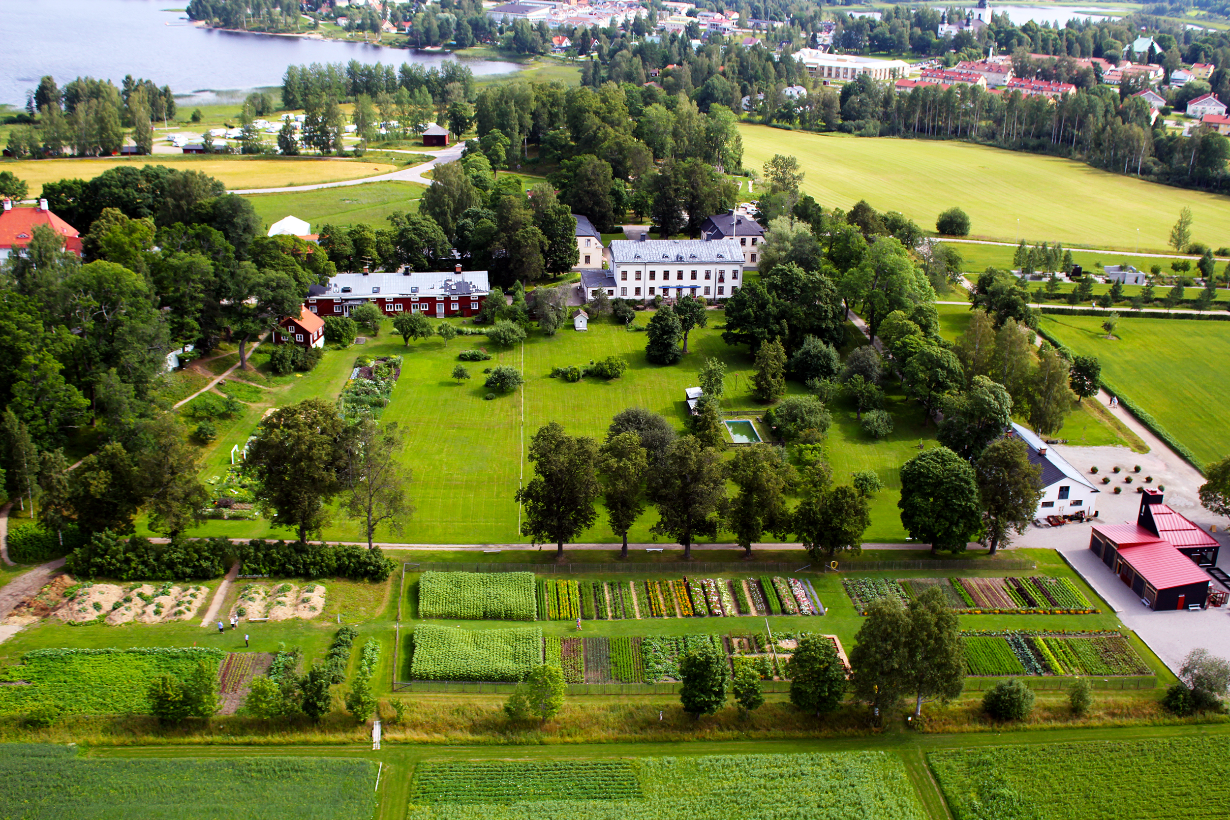 Wij säteri